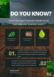 Which Moringa Production Model Would Best Suite Your Business Needs?