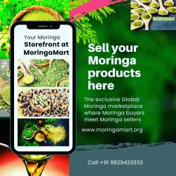 Could The Moringa Industry’s Exclusive Marketplace Moringamart.Org Ends Search for Potential Buyers and Retailers Across the Globe?