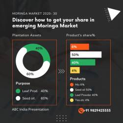 What types of #Moringa food and health supplements are people buying, and why?